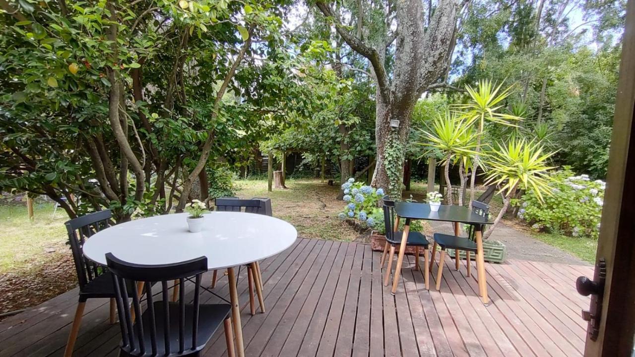 La Nuez Hostel Pucon